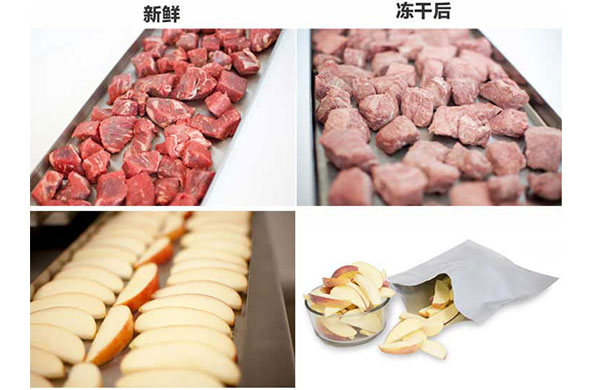 真空干燥的原理、特點及應(yīng)用，真空泵如何在其中發(fā)揮作用？